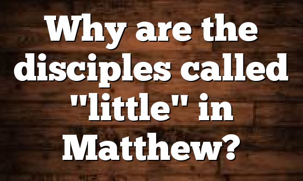 Why are the disciples called "little" in Matthew?