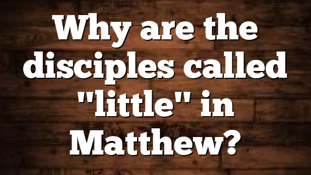Why are the disciples called "little" in Matthew?
