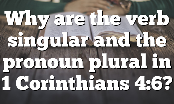 Why are the verb singular and the pronoun plural in 1 Corinthians 4:6?