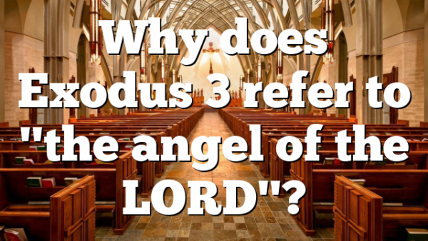 Why does Exodus 3 refer to "the angel of the LORD"?
