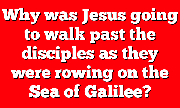 Why was Jesus going to walk past the disciples as they were rowing on the Sea of Galilee?