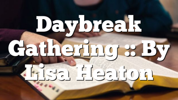 Daybreak Gathering :: By Lisa Heaton
