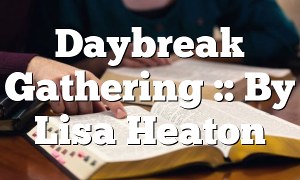 Daybreak Gathering :: By Lisa Heaton
