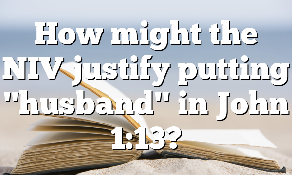 How might the NIV justify putting "husband" in John 1:13?