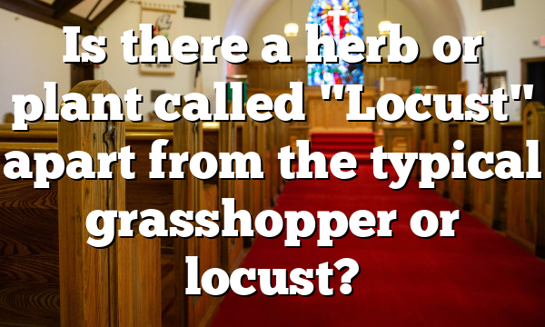 Is there a herb or plant called "Locust" apart from the typical grasshopper or locust?