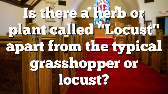 Is there a herb or plant called "Locust" apart from the typical grasshopper or locust?