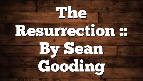 The Resurrection :: By Sean Gooding