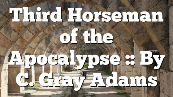 Third Horseman of the Apocalypse :: By C. Gray Adams