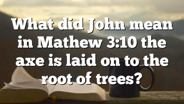 What did John mean in Mathew 3:10 the axe is laid on to the root of trees?