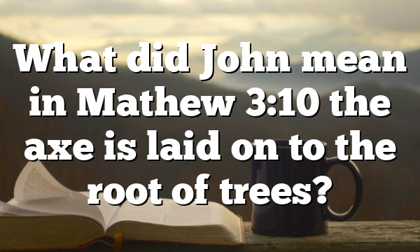 What did John mean in Mathew 3:10 the axe is laid on to the root of trees?