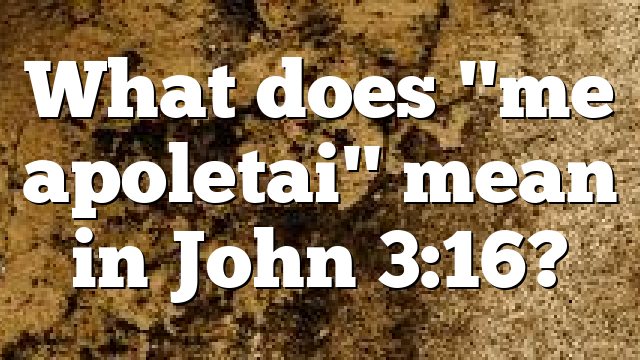 What does "me apoletai" mean in John 3:16?