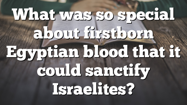 What was so special about firstborn Egyptian blood that it could sanctify Israelites?