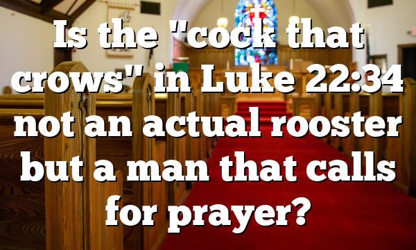 Is the "cock that crows" in Luke 22:34 not an actual rooster but a man that calls for prayer?