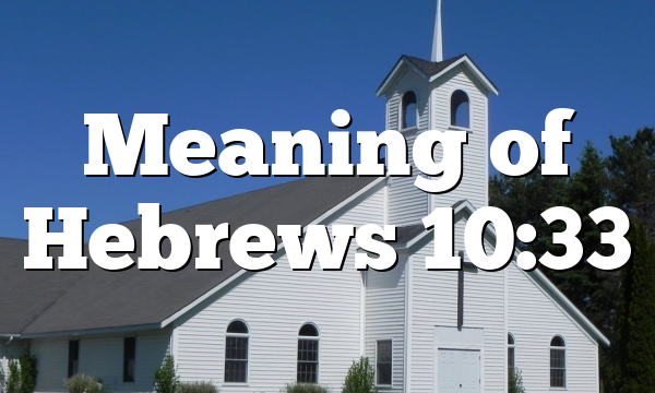 Meaning of Hebrews 10:33