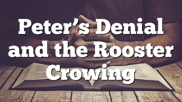Peter’s Denial and the Rooster Crowing