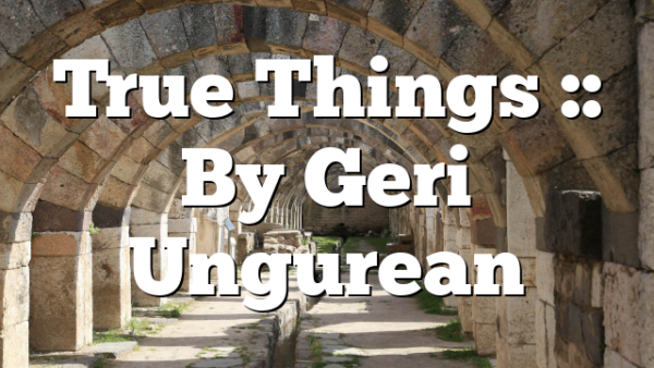 True Things :: By Geri Ungurean