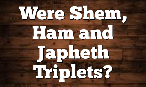 Were Shem, Ham and Japheth Triplets?