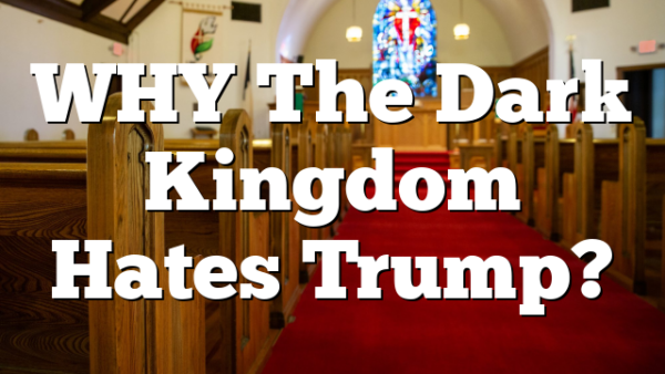 WHY The Dark Kingdom Hates Trump?