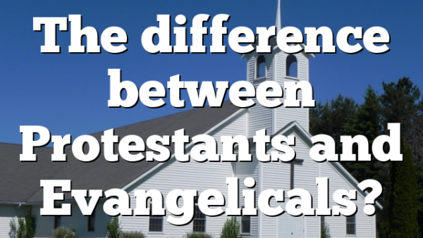 The difference between Protestants and Evangelicals?