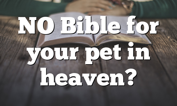 NO Bible for your pet in heaven?