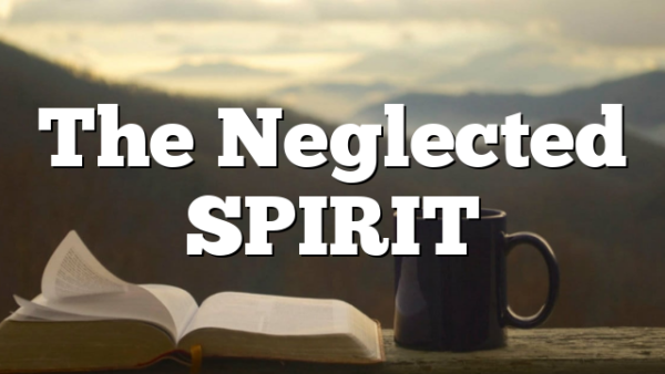The Neglected SPIRIT