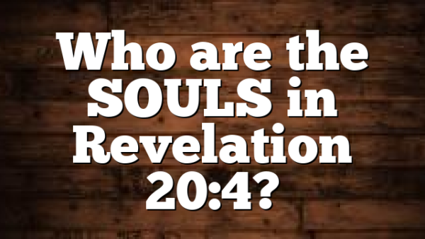 Who are the SOULS in Revelation 20:4?