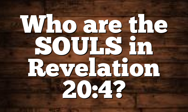 Who are the SOULS in Revelation 20:4?